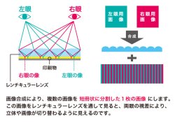 画像2: レンチキュラー製品作成・画像合成